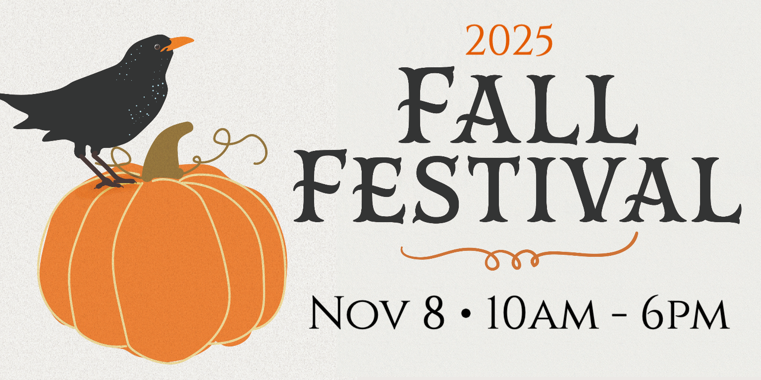 Fall Festival Black Crow Pumpkin