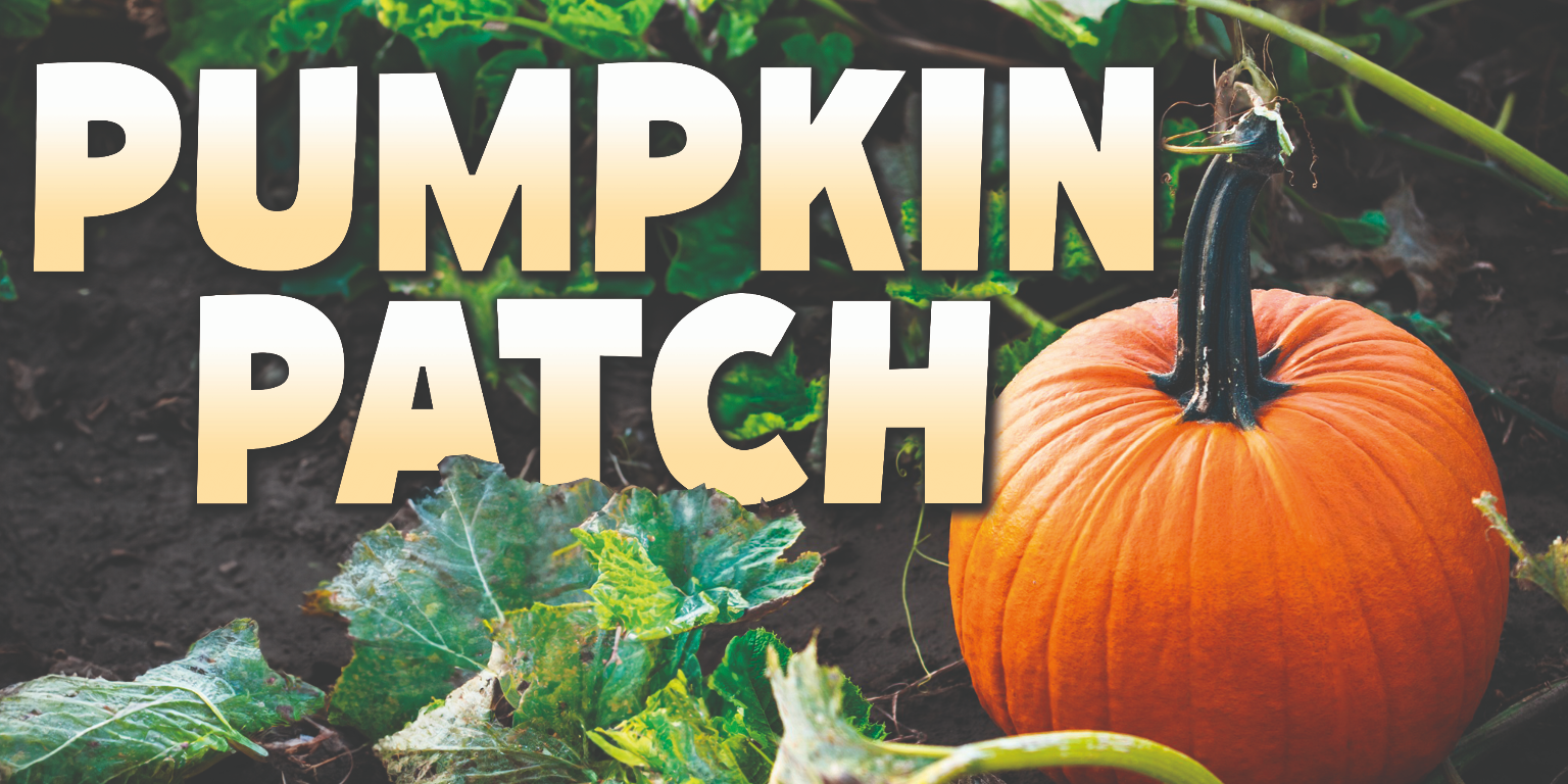 Pumpkin Patch